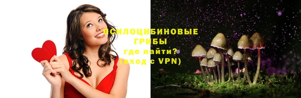 твердый Алзамай