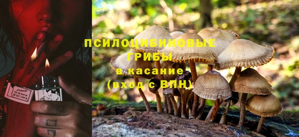 твердый Алзамай