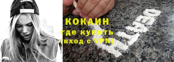 твердый Алзамай