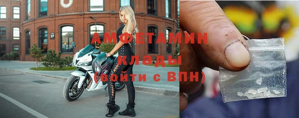 твердый Алзамай