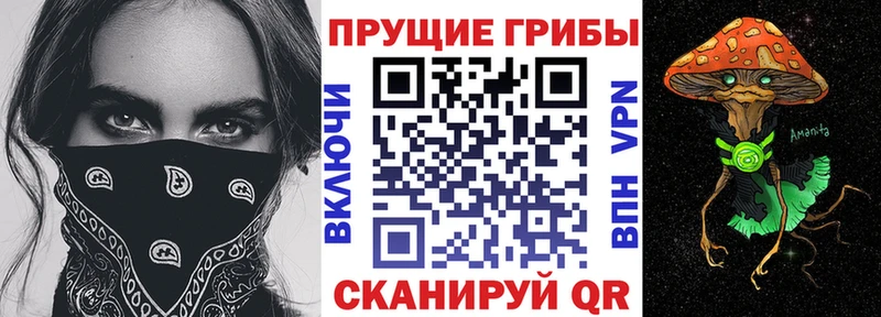 Галлюциногенные грибы Magic Shrooms  Дрезна 